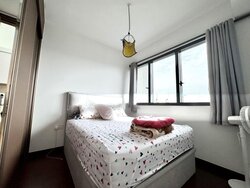 Normanton Park (D5), Apartment #502285951